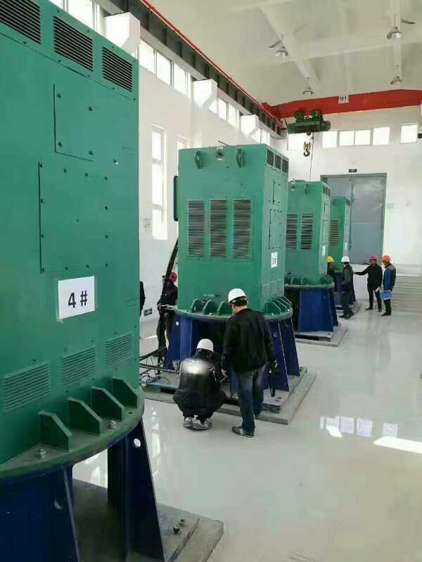 大庆某污水处理厂使用我厂的立式高压电机安装现场