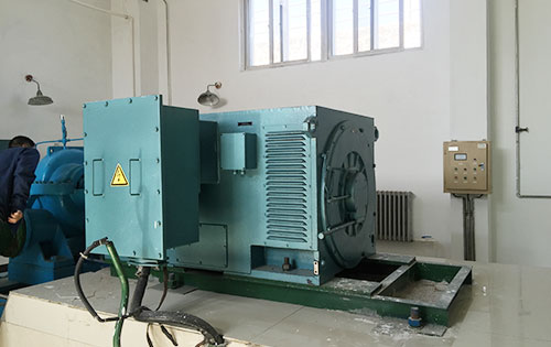 大庆某水电站工程主水泵使用我公司高压电机